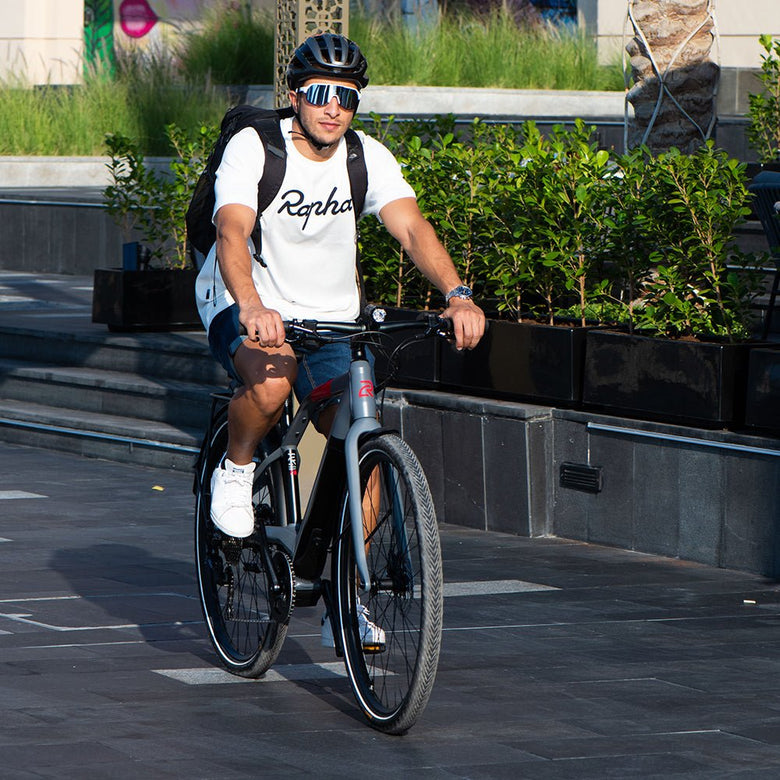 Logo FS10 Electric Bike - Wolfis